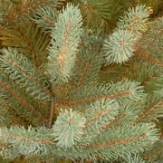 CC Christmas Decor 7 ft. Norway Fir Tree