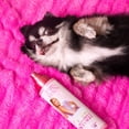 thumbnail image 3 of Perfume, desodorizante y desenredante Paris Hilton Dog 295 ml, 3 of 9