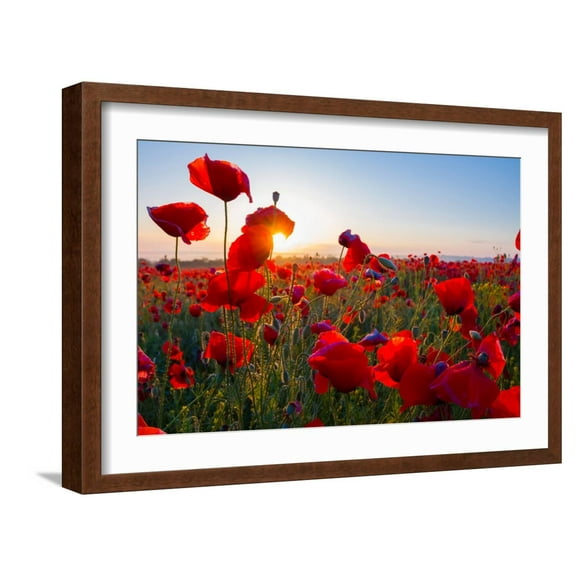 Art.com Early Morning Red Poppy Field Scene Photographic Print by Yuriy Kulik, Brown Frame Wall Art, 23" x 17"