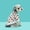Heart, variant on SENHAWK Dog Knitted Sweater for Small Dogs, Soft Warm Breathable Pet Pullover with Round Neck, Cute Christmas Holiday Pattern, Stretchy 3D Tailoring Dog Clothes for Puppy Cat Fall Winter