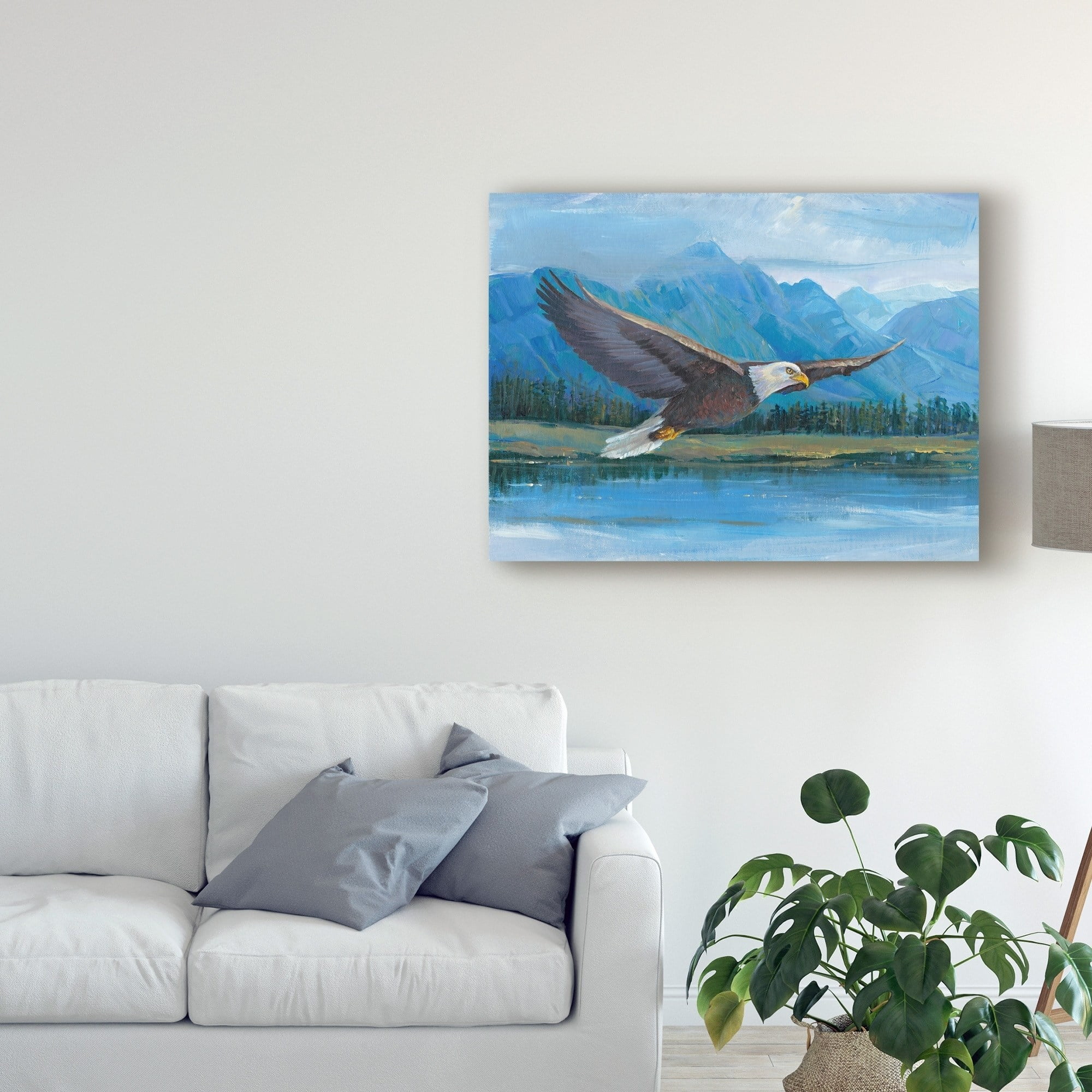 Trademark Fine Art 'Eagle Soaring Photography' Canvas Art by Tim OToole