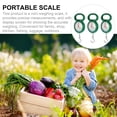 thumbnail image 4 of USHOBE 3Pcs Fish Weighing Scale Hanging Scale Portable Measurement Plastic for Fishing Kitchen, 4 of 4