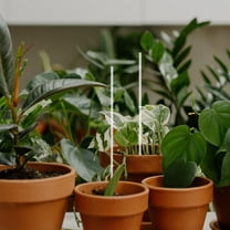 YSNOOWE 10Pcs Garden Stakes for Flowers and Plants 17.7In