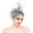 Gray, variant on FADAACAI Fascinators Hat Fascinators for Women Tea Party Headband Hat Mesh Feathers Hair Clip for Wedding and Church Women's Fascinators Fascinator for Women Clearance！