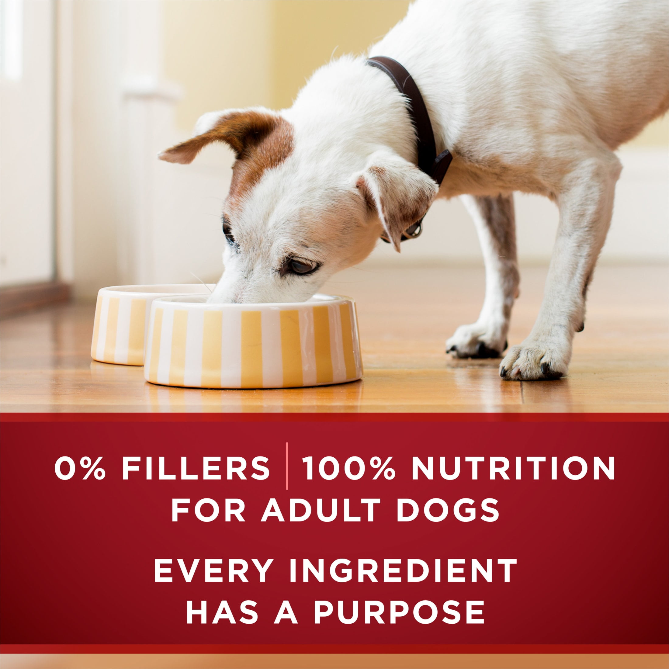 Purina ONE Smart Blend Wet Dog Food, High Protein Soft Gravy Variety Pack, 13 oz Cans