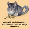 thumbnail image 4 of Food From the Wild Chinchilla, 4 of 10