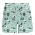 thumbnail image 3 of Mens Shorts Elastic Waist Drawstring Waistband Print Casual Pocket Beach Shorts Mint Green M, 3 of 4