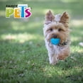 thumbnail image 2 of Juguete Pelota Prisma Ch C/Sonido Fancy Pets PELOTA, 2 of 4
