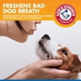 thumbnail image 2 of Arm & Hammer For Pets Tartar Control Dental Spray for Dogs Mint Flavor 4 oz., 2 of 9