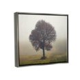 thumbnail image 3 of Stupell Industries Lone Tree Rural Grassland Photograph Luster Gray Floating Framed Canvas Print Wall Art, Design by Igor Vitomirov, 3 of 6