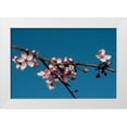 thumbnail image 3 of Erin Berzel 18x13 White Modern Wood Framed Wall Art Titled - Cherry Blossom IV, 3 of 5