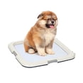 thumbnail image 1 of IRIS USA, Support Carré pour Tapis d'Entraînement pour Animaux, Bleu, 1 of 13