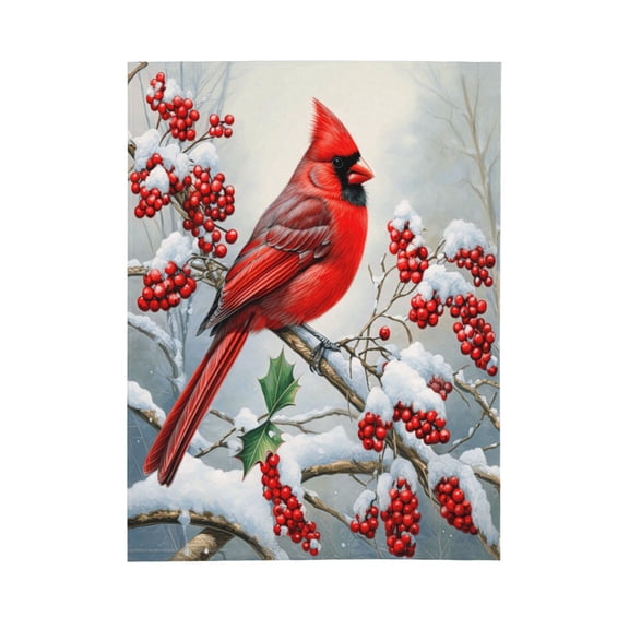 PHELIKA Snow Red Cardinal Winter Birds 04 All Season Soft Throw Blanket Lightweight Flannel Fleece Blankets 50"x40"