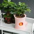 thumbnail image 3 of SPRING PARK Succulent Pot Cute Squirrel Water-saving Planter Bonsai Box Plant Bed Office Home Garden Pot Decoration, 3 of 3
