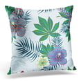 thumbnail image 1 of BSDHOME Blue Hawaii Tropical Flowers Pattern Abstract Pillow Case Pillow Cover 20x20 inch, 1 of 1