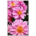 thumbnail image 1 of Picture-Tiles.com: Flowers Ceramic Tile Wall Mural WAL500632-35S. 12.75"W x 21.25"H using (15) 4.25" x 4.25" Ceramic Tiles-Satin Finish, 1 of 3