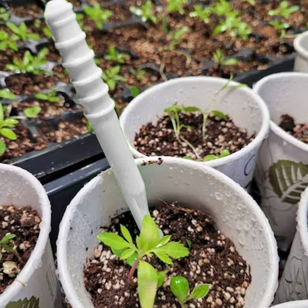 Sembrador de semillas de plantas Ehuebsd Mini suministros de jardinería para el hogar