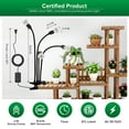 thumbnail image 4 of SANSI 40W Full Spectrum LED Grow Light Bulb for Indoor Plants with Timer, 4 of 8