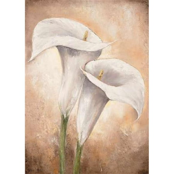 May Licensing PDXMLV450SMALL Calla Lilly II Poster Print by Lenna Lotus, 10 x 14 - Small