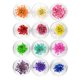 thumbnail image 2 of EeaseMX Estuche con 12 flores secas reales para decoración de uñas, pegatinas con diseño de flores, apliques tridimensionales, pegatinas 3D para uñas, suministros para uñas, 2 of 3