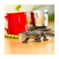 thumbnail image 5 of Safari Ltd. Komodo Dragon Figurine - Realistic 5.5" Reptile Figure - Educational Toy for Boys, Girls & Kids Ages 3+, 5 of 7