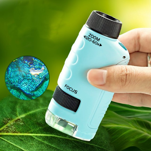 Mini microscopio de bolsillo Microscopio de bolsillo con portaobjetos para muestras, microscopio portátil de 60-120x, luz LED de laboratorio
