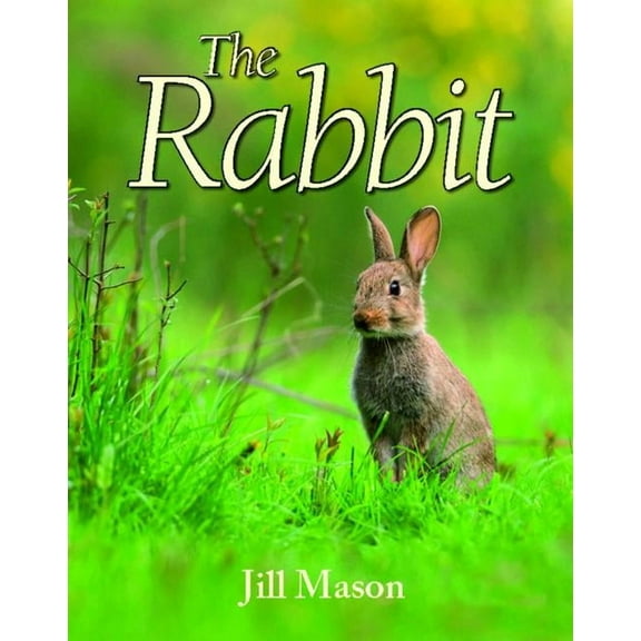 The Rabbit (Hardcover)