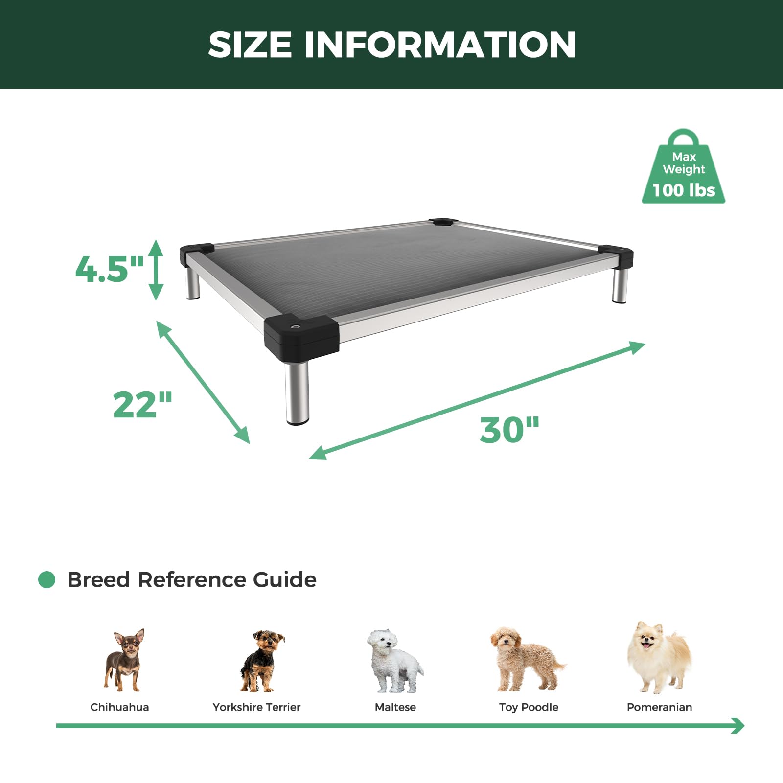FXW TitanNest Chew-Proof Elevated Dog Bed, Raised Cot for Indoor/Outdoor/Camping Use, Durable & Washable Padded Pet Bed for Extra-Small Dogs, 30.0" L x 22.0" W x 4.5" H, Gray