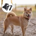 thumbnail image 1 of unbranded 1Jgo Arnés Para Mascotas Negro Y Duradero Con Ajustables Para Mayor, 1 of 6