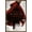 Bronze Framed Version, variant on Star Wars: The Last Jedi - Red Ray Wall Poster, 14.725" x 22.375"
