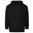 thumbnail image 1 of Ecologie - Sudadera Crater para Adultos Unisex (Negro), 1 of 1