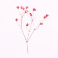 thumbnail image 6 of SPRING PARK 12Pcs Pressed Dried Flowers for DIY Arts Crafts Resin Jewelry Making Accessory, 6 of 7