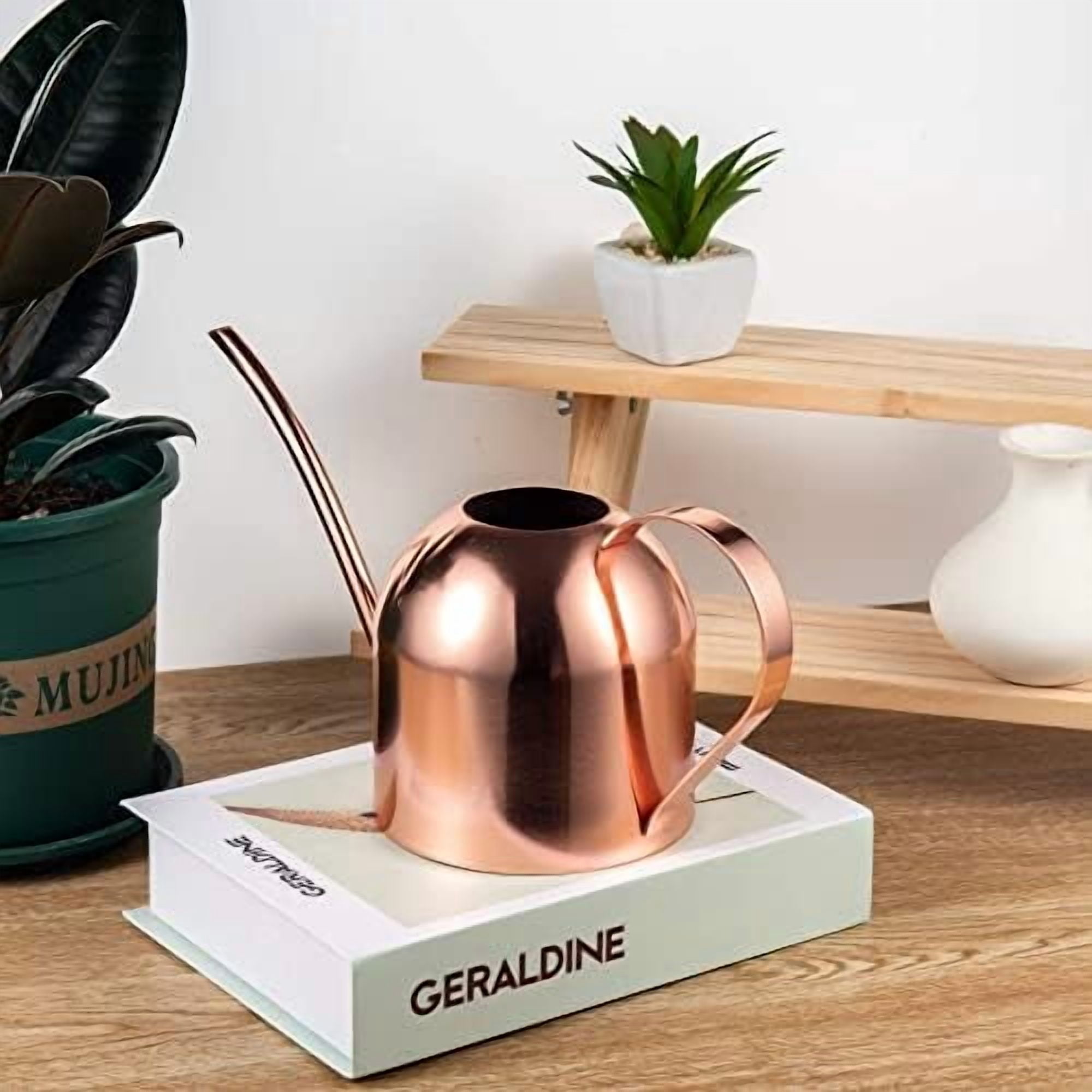 Indoor Watering Can for House Plants 33oz/1L Stainless Steel Watering Can with Long Spout (Rose Gold)