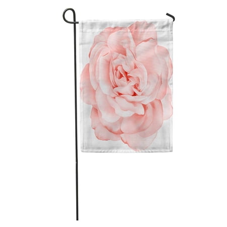 SIDONKU Pink Day Beautiful Light Red Rose Flower Pastel Floral Color Water Garden Flag Decorative Flag House Banner 28x40 inch
