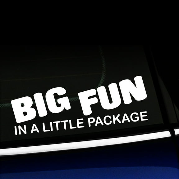 Big Fun in a Little Package - Vinyl Decal - Choose Color - [WHITE]