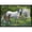 Black, variant on Carolines Treasures ASA2195MAT Group of Horses Door Mat Indoor Rug or Outdoor Welcome Mat 18x27 Doormat 27"L x 18"W