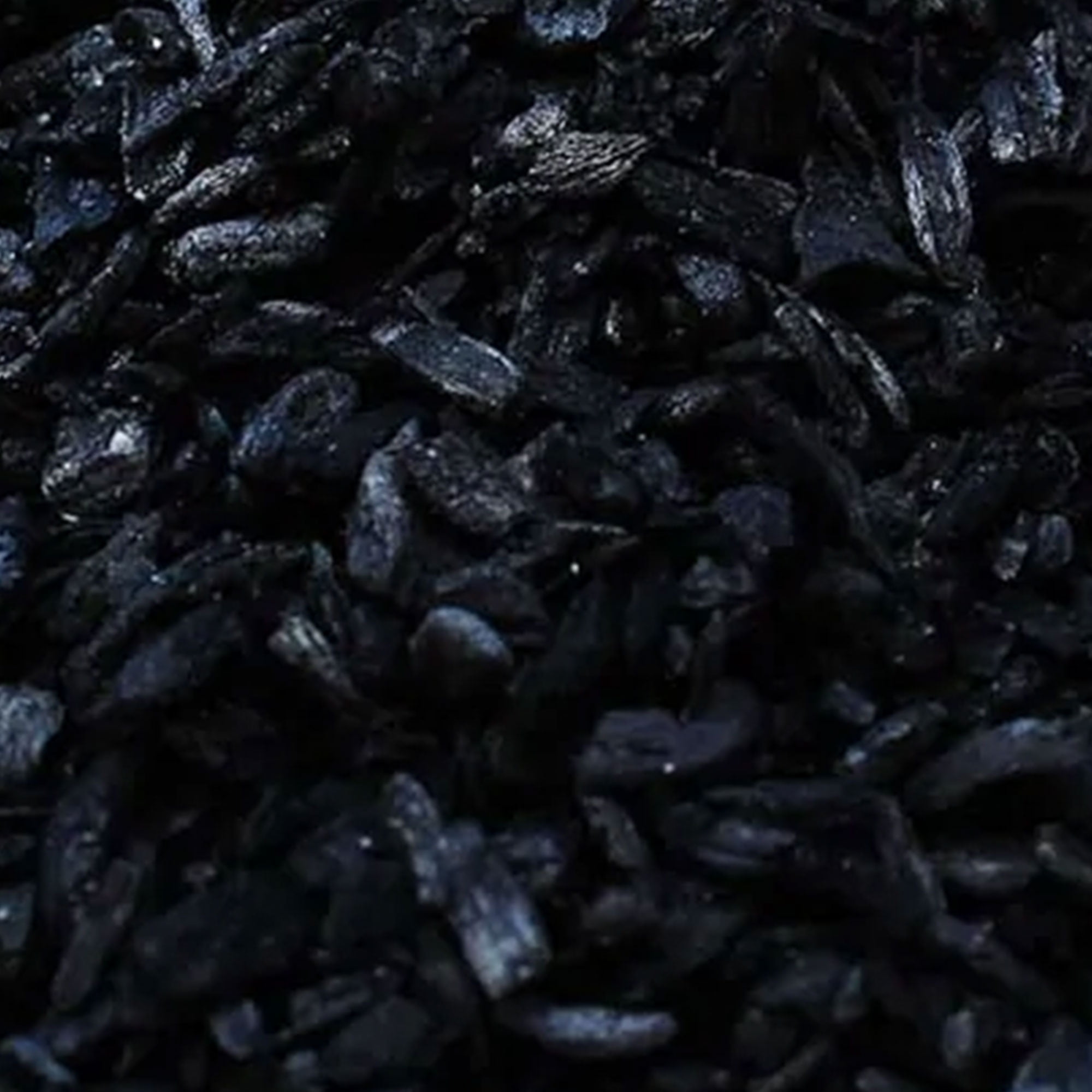 Plantonix Char Bliss Premium Biochar Soil Amendment 1 cu ft