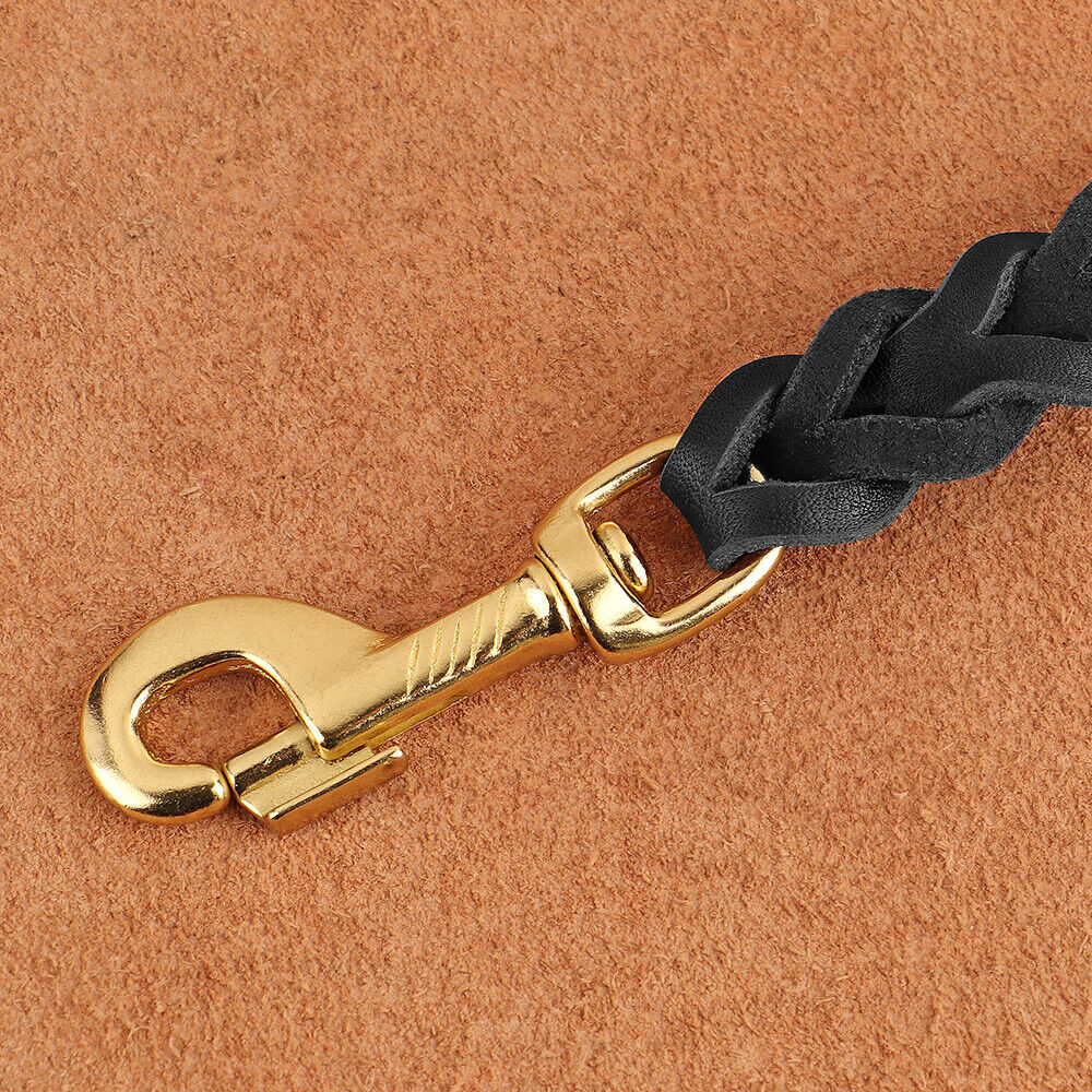 Didog 5ft Long Genuine Leather Dog Leash Fashion Braided Training Walking Leashes Heavy Duty for Large Breeds
