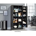 thumbnail image 2 of Sauder HomePlus Storage Engineered Wood Cabinet in Raven Oak, 2 of 13
