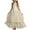 Beige, variant on Holloyiver Girl Dresses Kids Ruffles Lace Party Wedding Dresses Children's Sleeveless Dress Princess Dress for 2-12 years