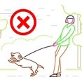 thumbnail image 5 of T-Shaped Anti-Pull Leash/Collar/Hood (Red) - One Size - Super Soft Braided Nylon - With Installation Instructions - Comfortable, K, 5 of 5