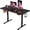 Black, variant on HarmonyStrings Electric Standing Desk, Adjustable Desk , Home Office Computer Desk,Multicolor-White 45" with Phone Holder