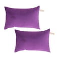 thumbnail image 3 of BESEW7 Microfiber Travel Pillowcases 2 Pack Soft Tiny Pillow Case Machine Washable for Camping Airplane Neck Back Support Dark Violet, 3 of 10
