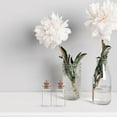 thumbnail image 4 of Minkissy 20Pcs Small Glass Jars with Lids for Memory Preservation DIY Decoration, 4 of 8