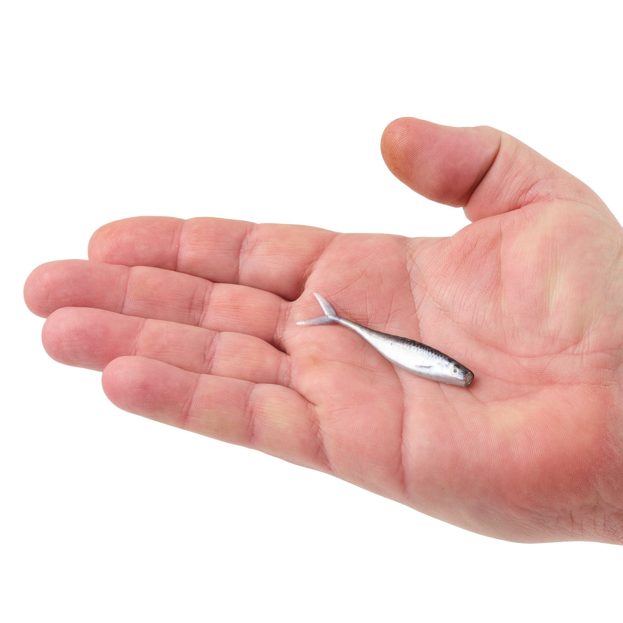 Berkley PowerBait® The Champ Minnow, 2.5 in, Minnows, HD Silver Shiner (10 Count)