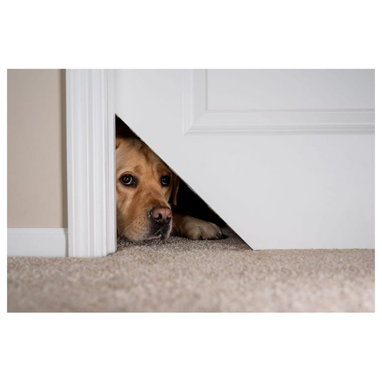 Kitty corner cat door hot sale