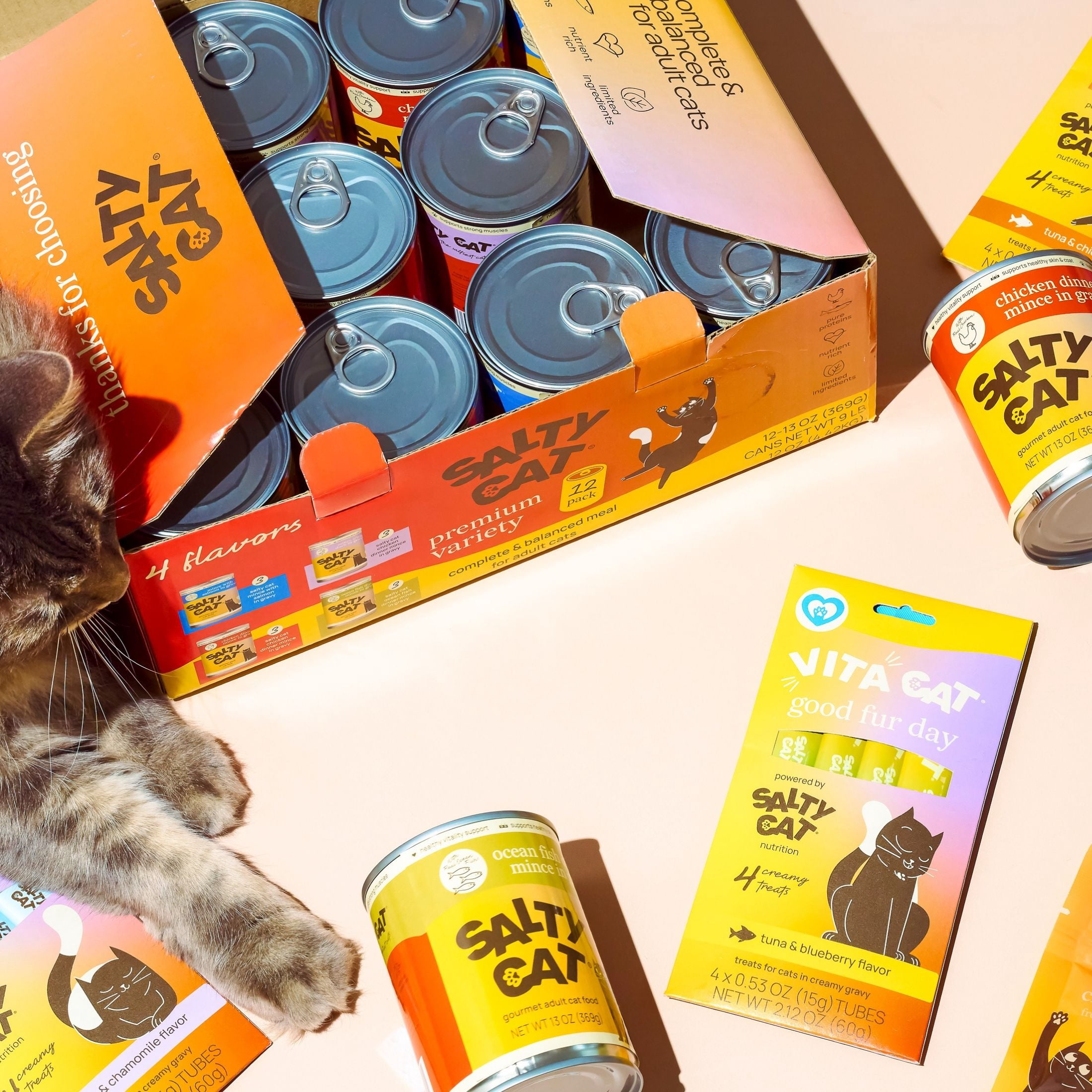 (6 pack) Salty Cat Chicken Dinner Mince in Gravy Wet Cat Food, 13 oz. Can