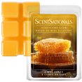thumbnail image 1 of Cubes de cire parfumée ScentSationals - Honeycomb Glow, 1 of 5