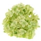 thumbnail image 4 of Flor De Seda Artificial Perfecl Hortensia Verde 19 cm 12 cm, 4 of 8