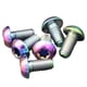 thumbnail image 2 of Paquete de 6 Tornillos de Disco de Freno Shamjiam T25 de Titanio, 2 of 9